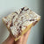 Cherry Bakewell Blondie